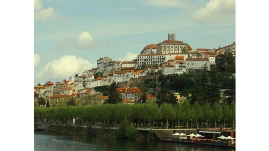 Terreno para Venda em Eiras e São Paulo de Frades Foto 1