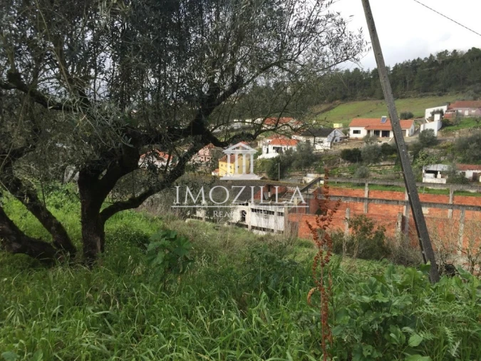 Armazém para Venda em Alcobaça e Vestiaria Foto 2