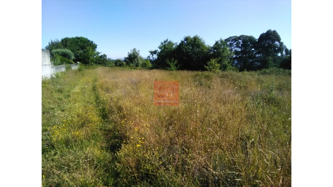 Terreno para Venda em Forjães Foto 2