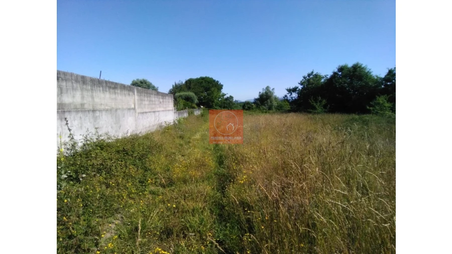 Terreno para Venda em Forjães Foto 5