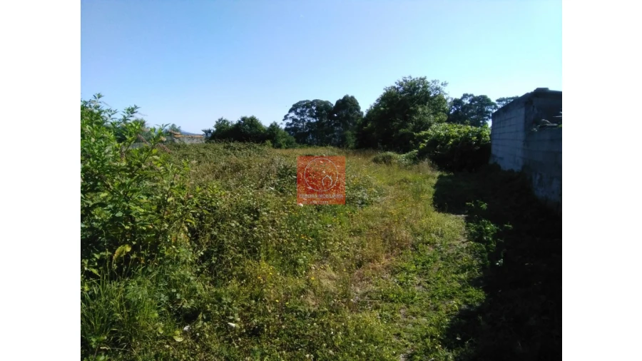 Terreno para Venda em Forjães Foto 6