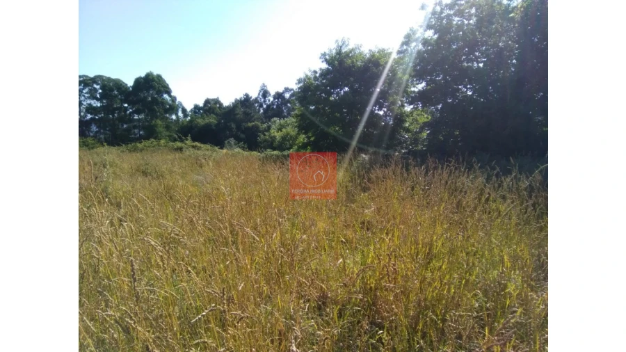 Terreno para Venda em Forjães Foto 7