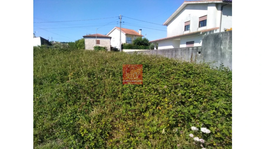 Terreno para Venda em Forjães Foto 9