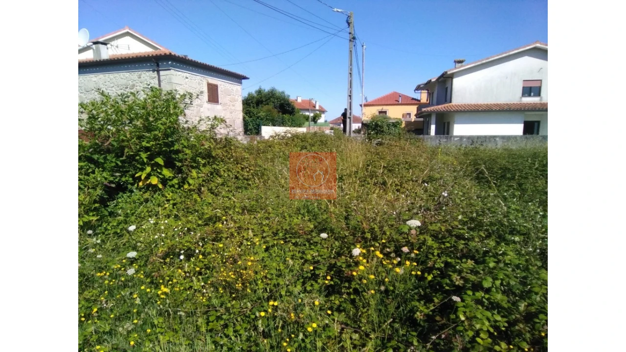 Terreno para Venda em Forjães Foto 3