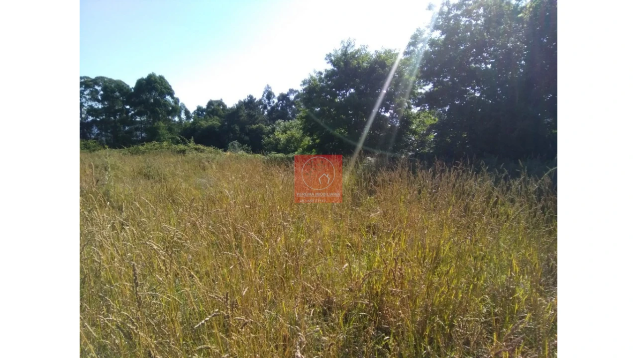 Terreno para Venda em Forjães Foto 7