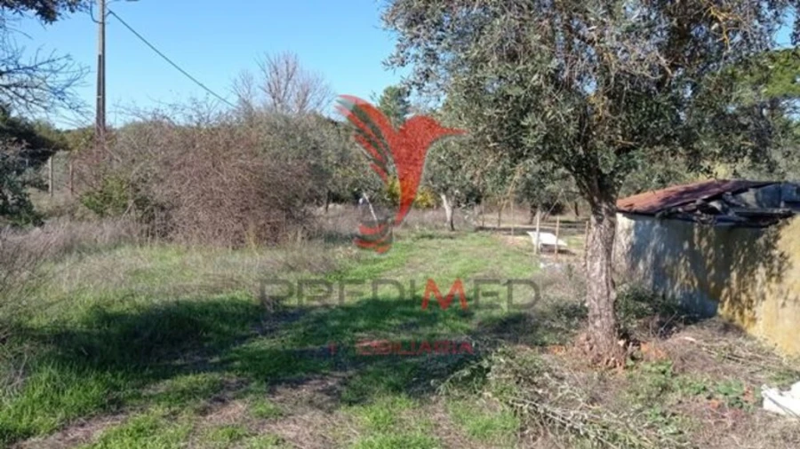 Moradia T4 para Venda em Galveias Foto 15