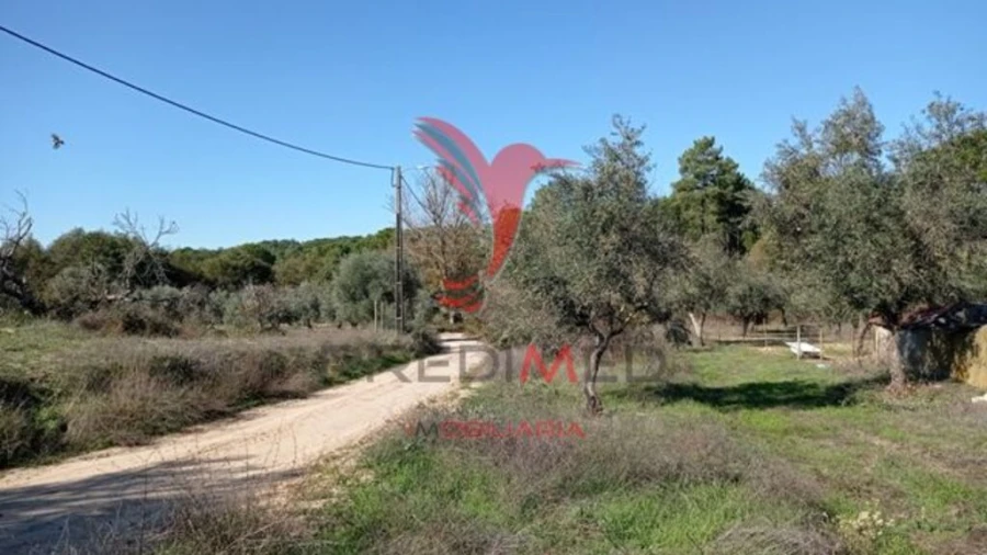 Moradia T4 para Venda em Galveias Foto 13