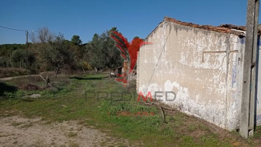 Moradia T4 para Venda em Galveias Foto 9