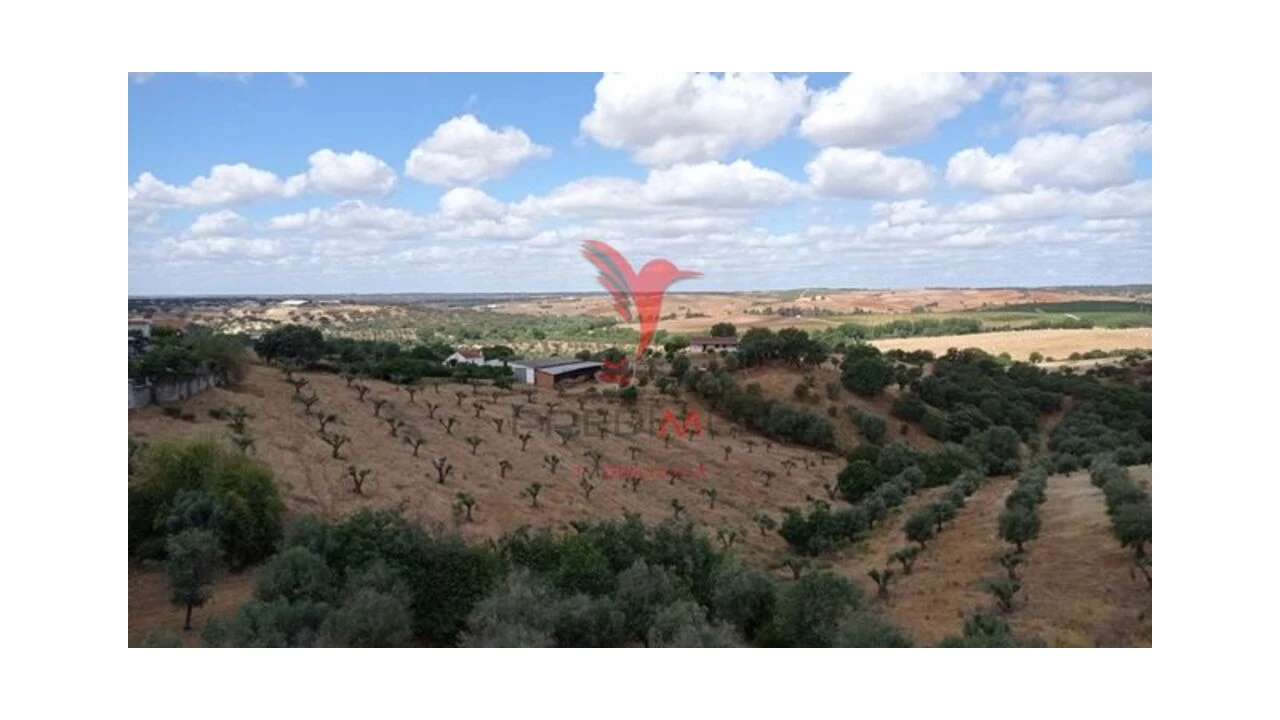 Moradia T2 para Venda em Seda Foto 13