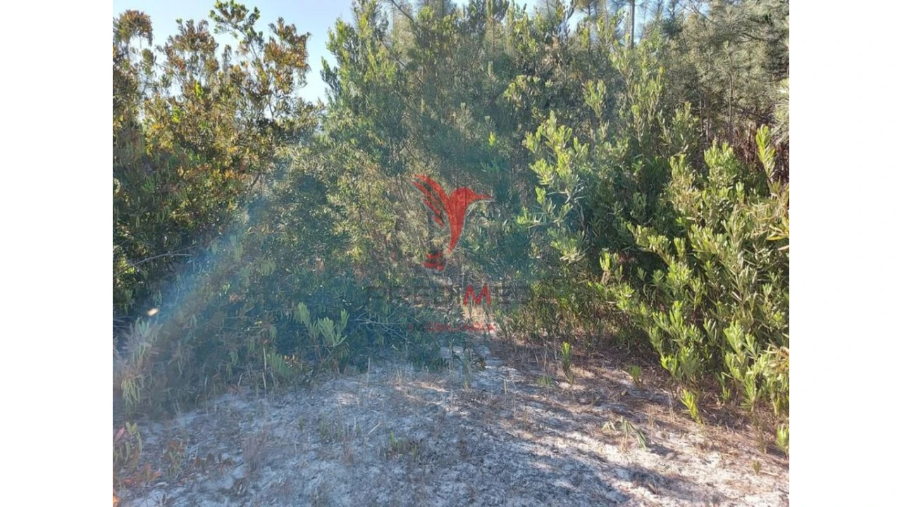 Terreno para Venda em Aljezur Foto 8