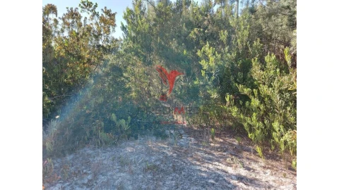 Terreno para Venda em Aljezur