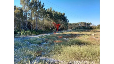 Terreno para Venda em Aljezur