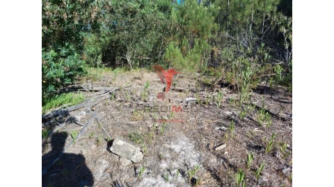 Terreno para Venda em Aljezur