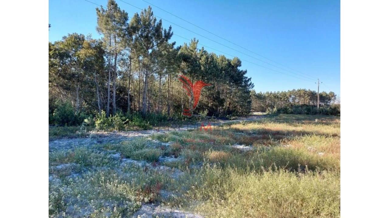 Terreno para Venda em Aljezur Foto 4