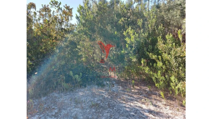 Terreno para Venda em Aljezur Foto 8