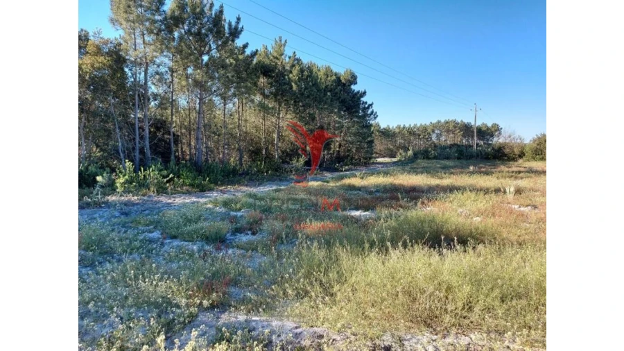 Terreno para Venda em Aljezur Foto 3