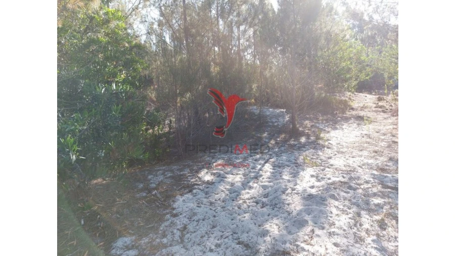 Terreno para Venda em Aljezur Foto 5