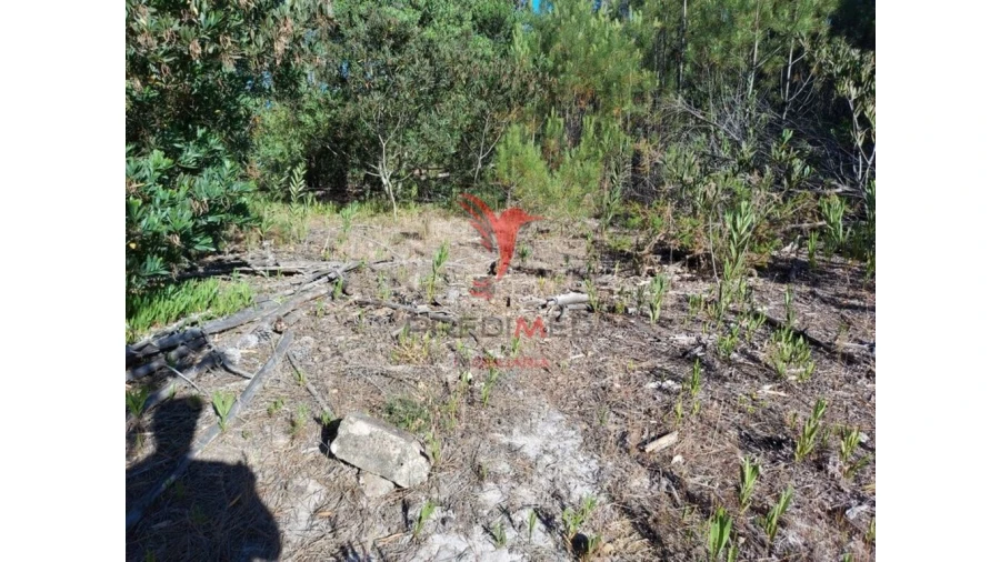 Terreno para Venda em Aljezur Foto 6