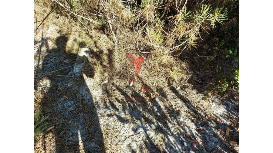 Terreno para Venda em Aljezur Foto 7