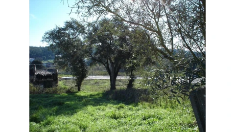 Terreno para Venda em Marrazes e Barosa