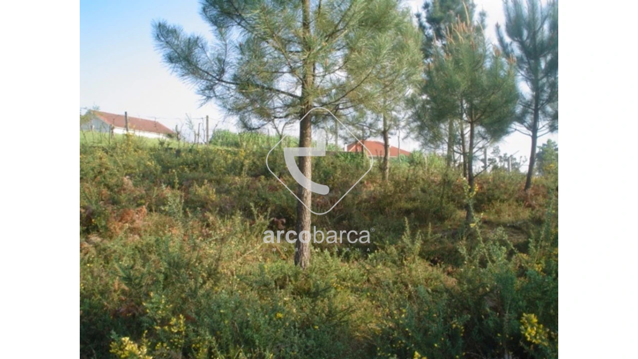 Terreno para Venda em Monte Redondo Foto 10