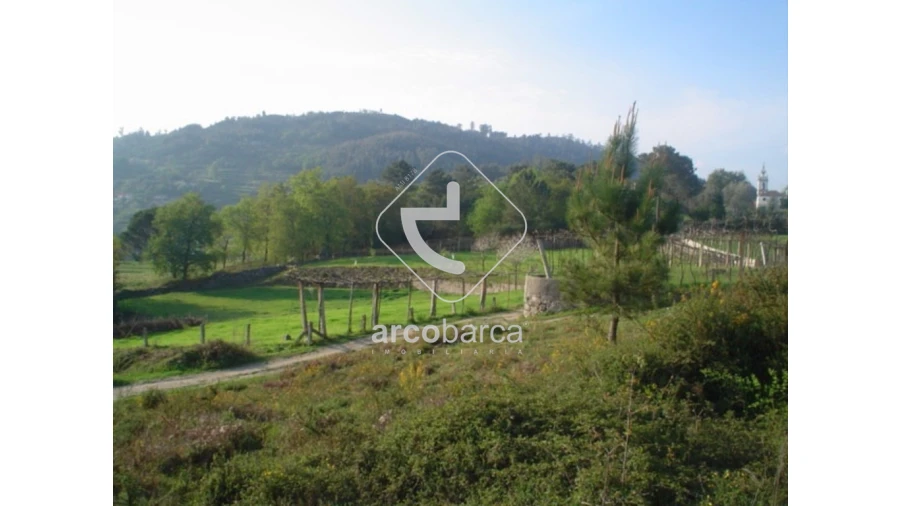 Terreno para Venda em Monte Redondo Foto 9