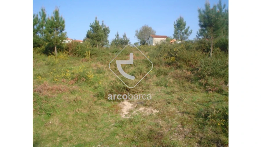 Terreno para Venda em Monte Redondo Foto 1