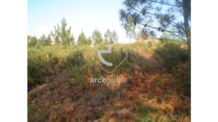 Terreno para Venda em Monte Redondo Foto 4