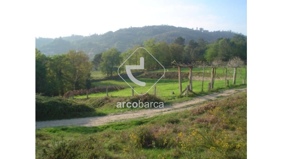Terreno para Venda em Monte Redondo Foto 7
