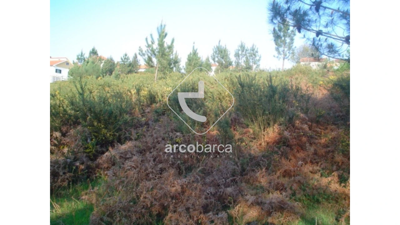 Terreno para Venda em Monte Redondo Foto 6