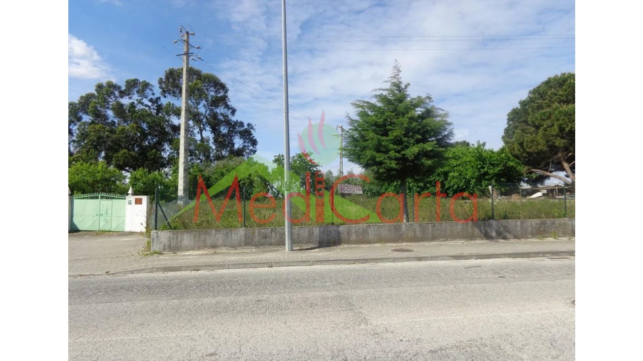 Terreno para Venda em Cartaxo e Vale da Pinta Foto 6