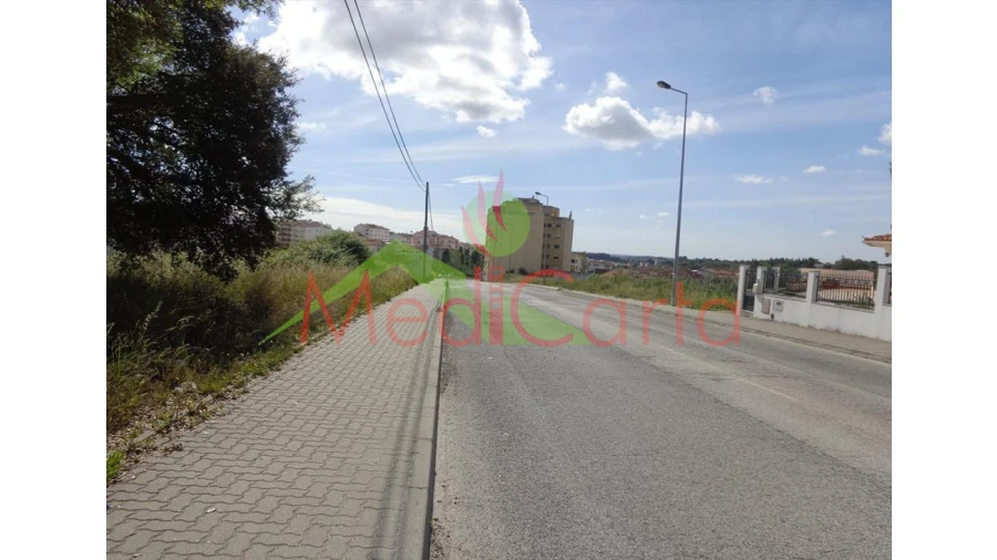 Terreno para Venda em Cartaxo e Vale da Pinta Foto 4