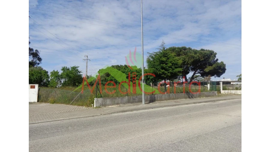 Terreno para Venda em Cartaxo e Vale da Pinta Foto 8
