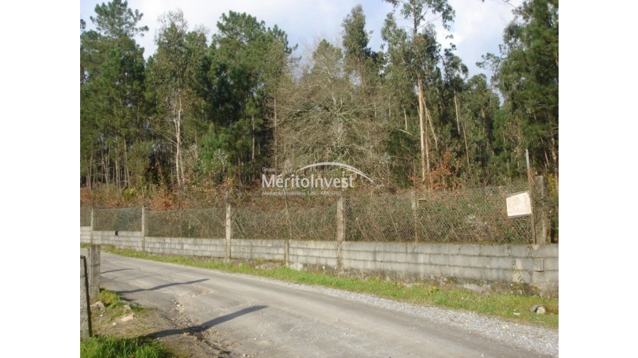 Terreno para Venda em Creixomil e Mariz Foto 5