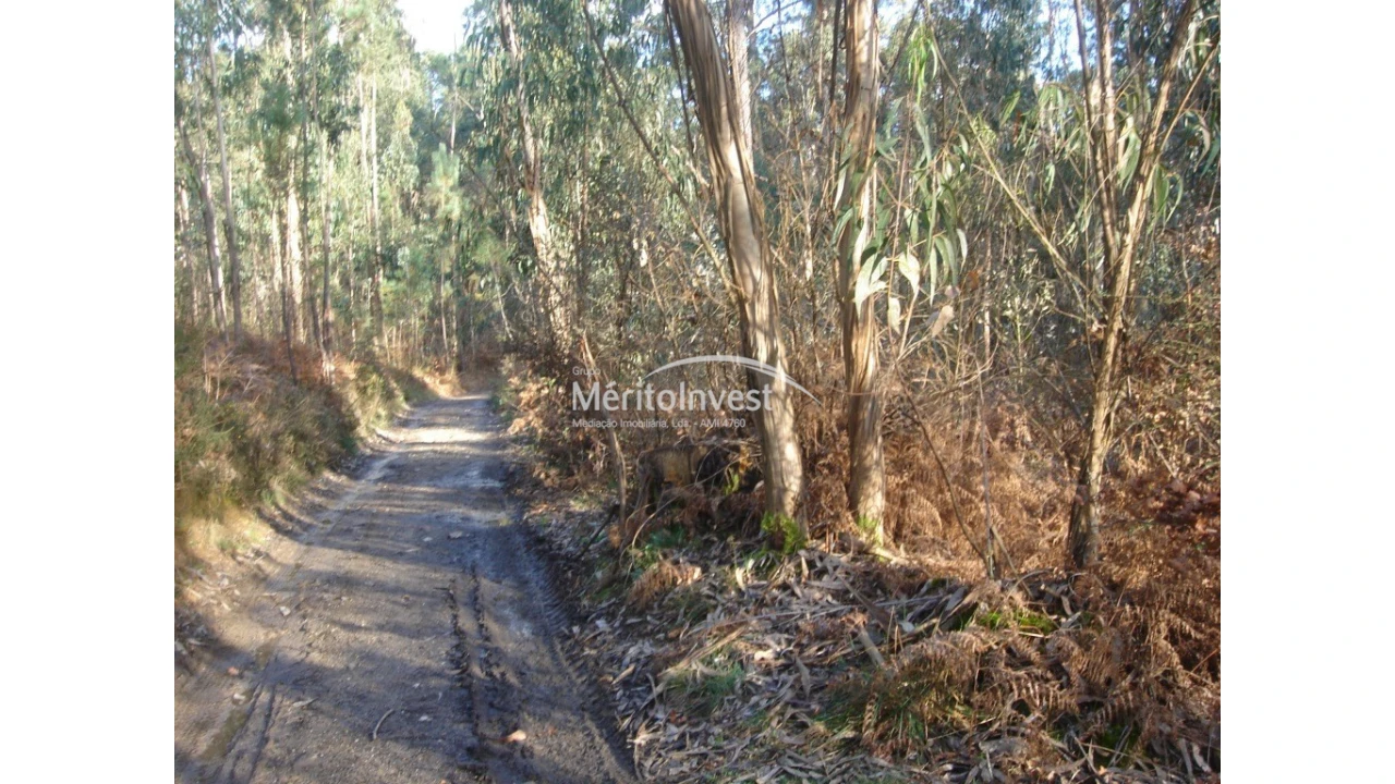 Terreno para Venda em Creixomil e Mariz Foto 2
