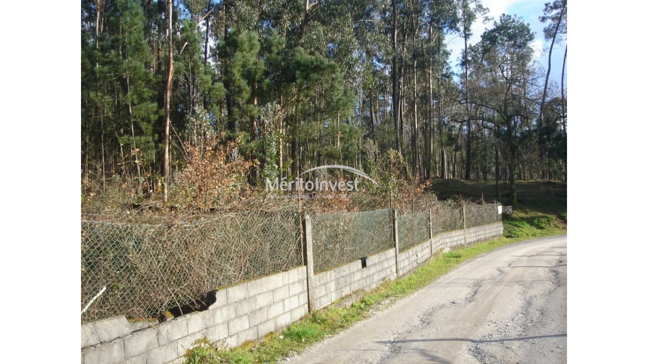 Terreno para Venda em Creixomil e Mariz Foto 1