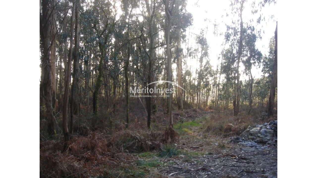 Terreno para Venda em Creixomil e Mariz Foto 3