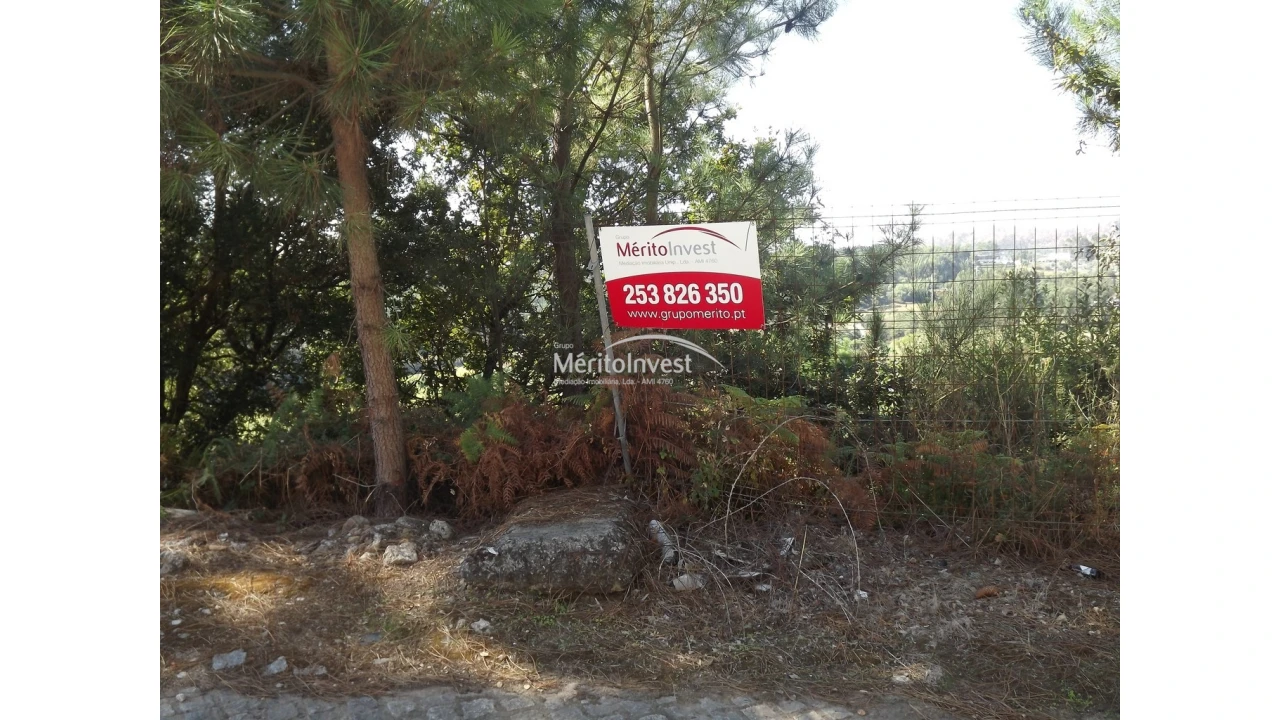 Terreno para Venda em Abade de Neiva Foto 1