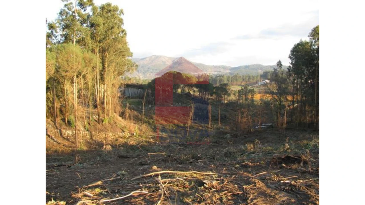 Terreno para Venda em Lanhas Foto 1