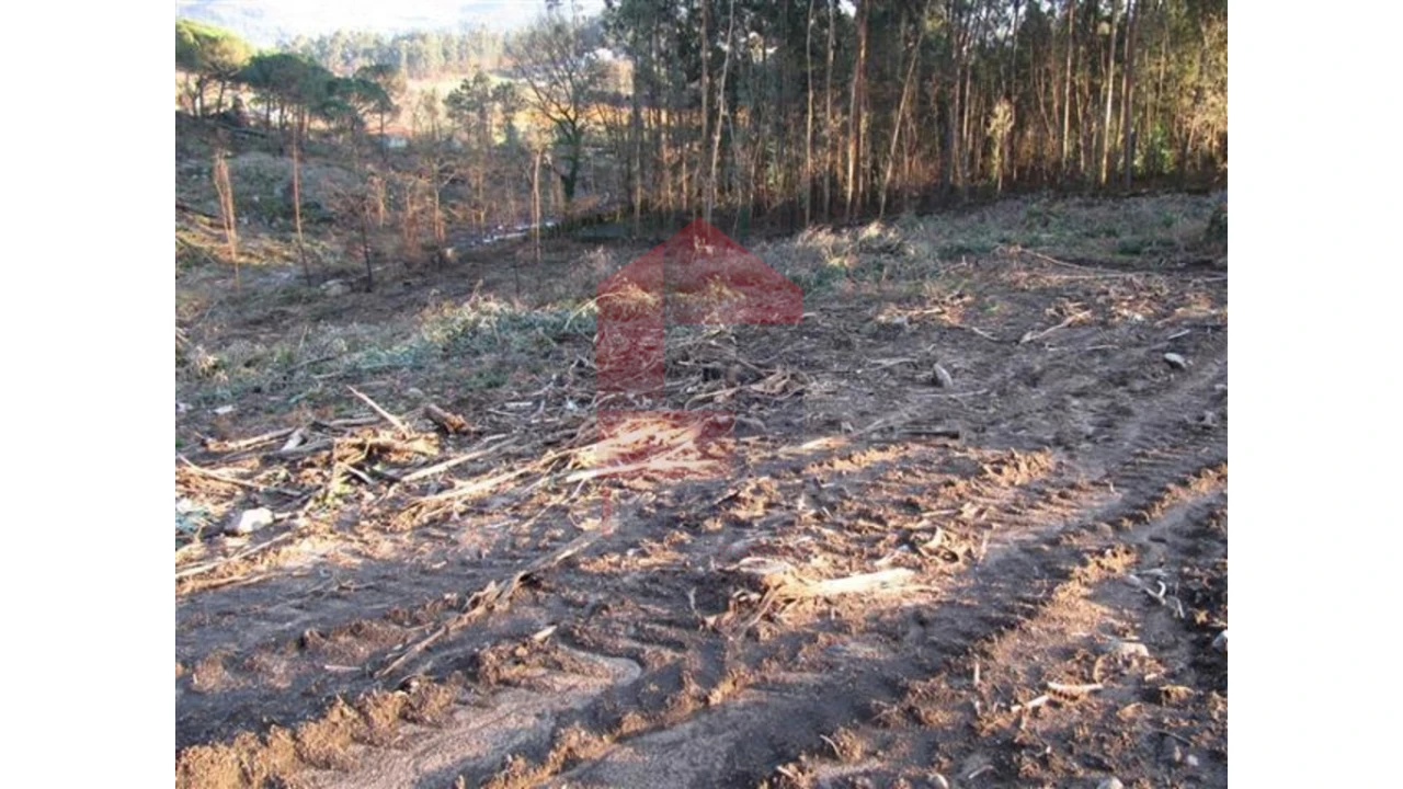 Terreno para Venda em Lanhas Foto 3