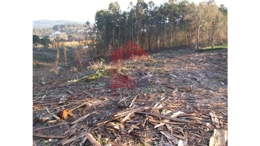 Terreno para Venda em Lanhas Foto 10