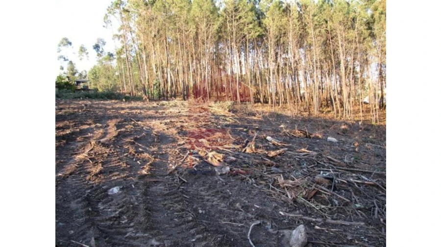 Terreno para Venda em Lanhas Foto 5