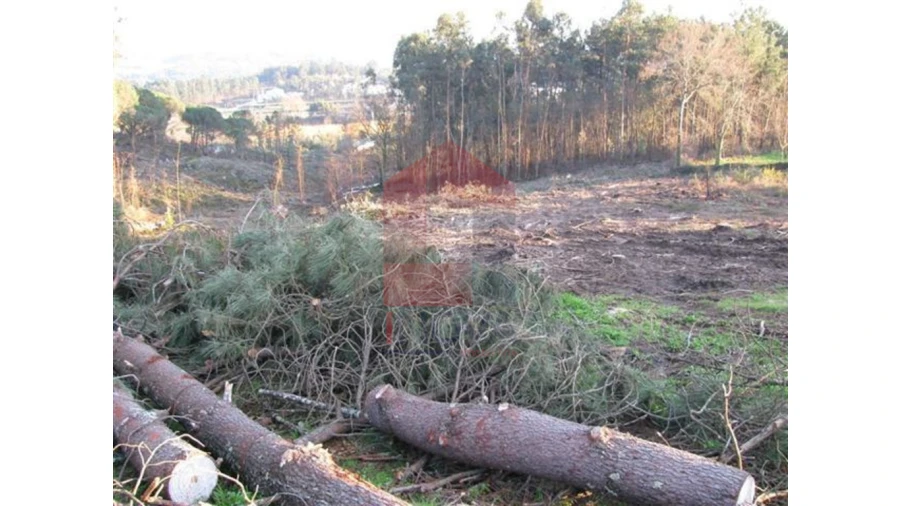 Terreno para Venda em Lanhas Foto 12