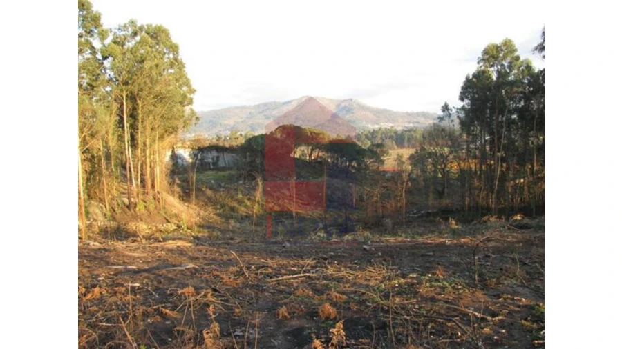 Terreno para Venda em Lanhas Foto 8