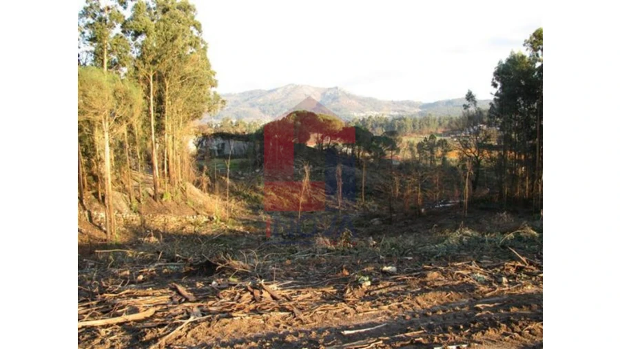 Terreno para Venda em Lanhas Foto 2