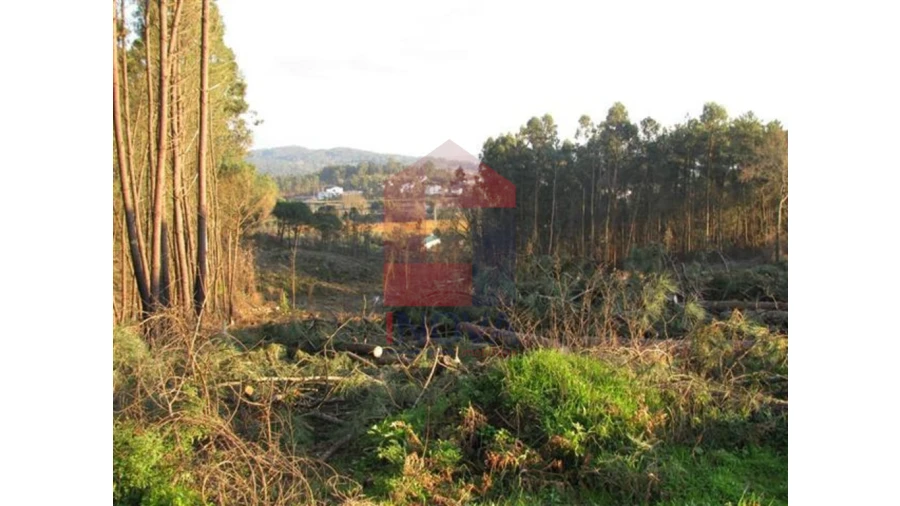 Terreno para Venda em Lanhas Foto 11
