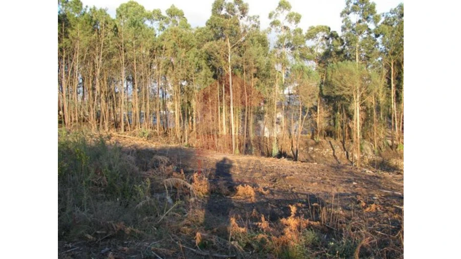 Terreno para Venda em Lanhas Foto 9