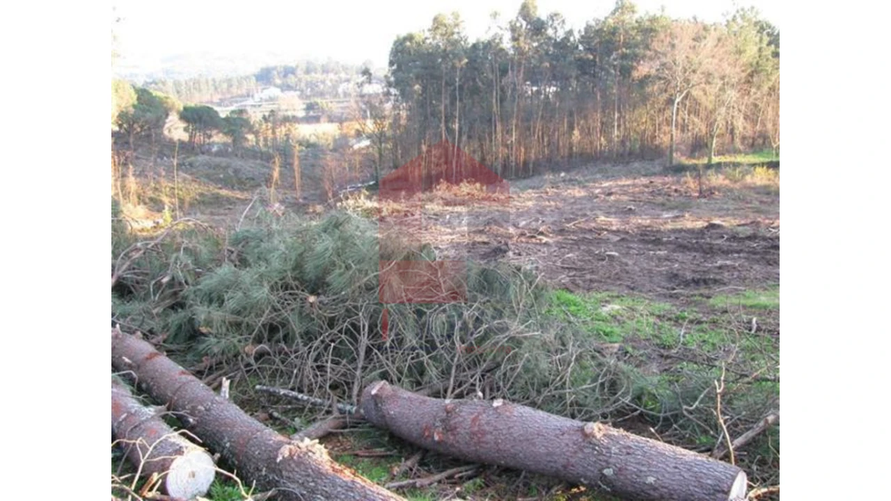 Terreno para Venda em Lanhas Foto 12