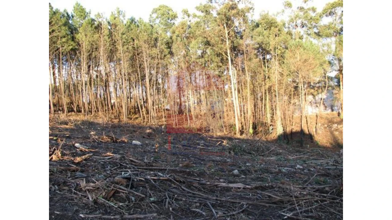 Terreno para Venda em Lanhas Foto 6