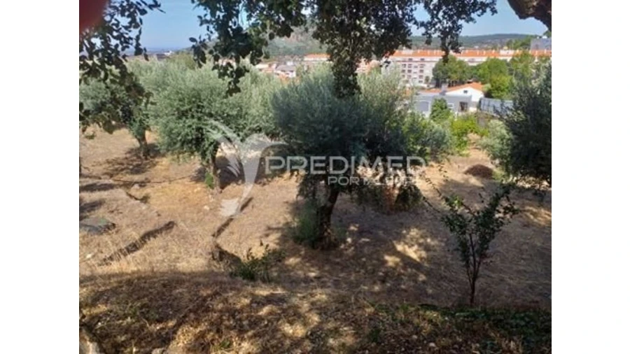 Terreno para Venda em Ribeira de Nisa e Carreiras Foto 10